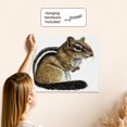thumbnail image 5 of 3dRose, Chipmunk, Museum Grade Canvas Wrap 20x16, 5 of 7