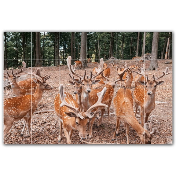 Picture-Tiles.com: Deer Ceramic Tile Wall Mural WAL500467-64M. 36"W x 24"H using (24) 6" x 6" Ceramic Tiles-Satin Finish