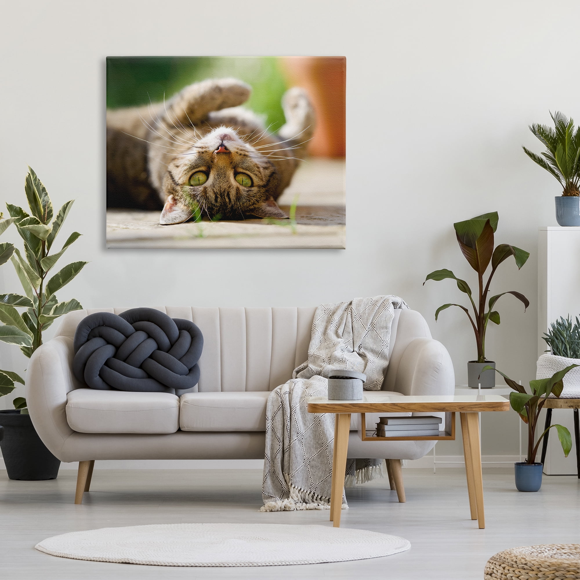 Stupell Industries Upside Down Cat Portrait Animals & Insects Photography Gallery Wrapped Canvas Art Print Wall Art, 48 x 36