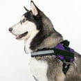 thumbnail image 5 of DogLine - Dog Harness, Reflective No-Pull Adjustable Pet Vest with Handle for Walking, Training, Service and Outdoors - Breathable No - Choke Room for Patches(Purple: Girth 22" - 30"), 5 of 7