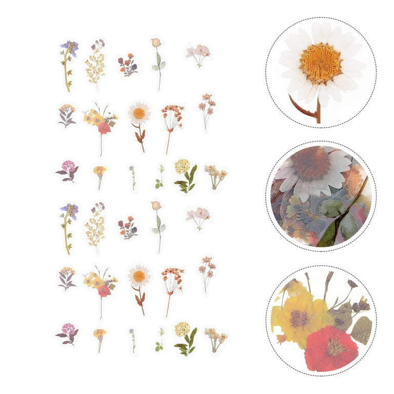 Pressed Flowers and Leaves Sticker Pack Graphic by art.rm · Creative Fabrica