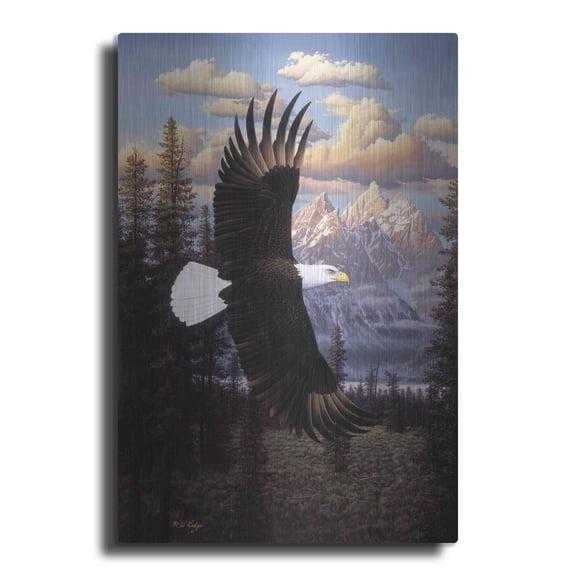 Luxe Metal Art 'Land Of The Free' by R. Hed, Metal Wall Art, 24"x36"
