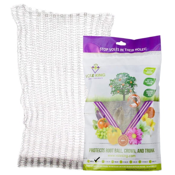 Cestas para plantas VOLE KING Gopher Vole, 1 litro, paquete de 4 unidades, de acero inoxidable