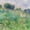 Meadow 1880, variant on Elephant Stock The Gust Of Wind Wall Art - Horizontal Canvas Wall Art - Living Room Wall Decor - Abstract Canvas - Green And Blue Decor By Pierre Auguste Renoir - 12" x 8"