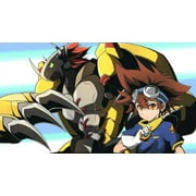 Bandai | Digimon Card Game: Starter Deck - Dragon of Courage (ST15) | Card Game | Ages 6+ | 2 Players | 30 Minutes Playing