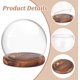 thumbnail image 3 of Campana de cristal transparente con base de madera. Vitrina decorativa., 3 of 7