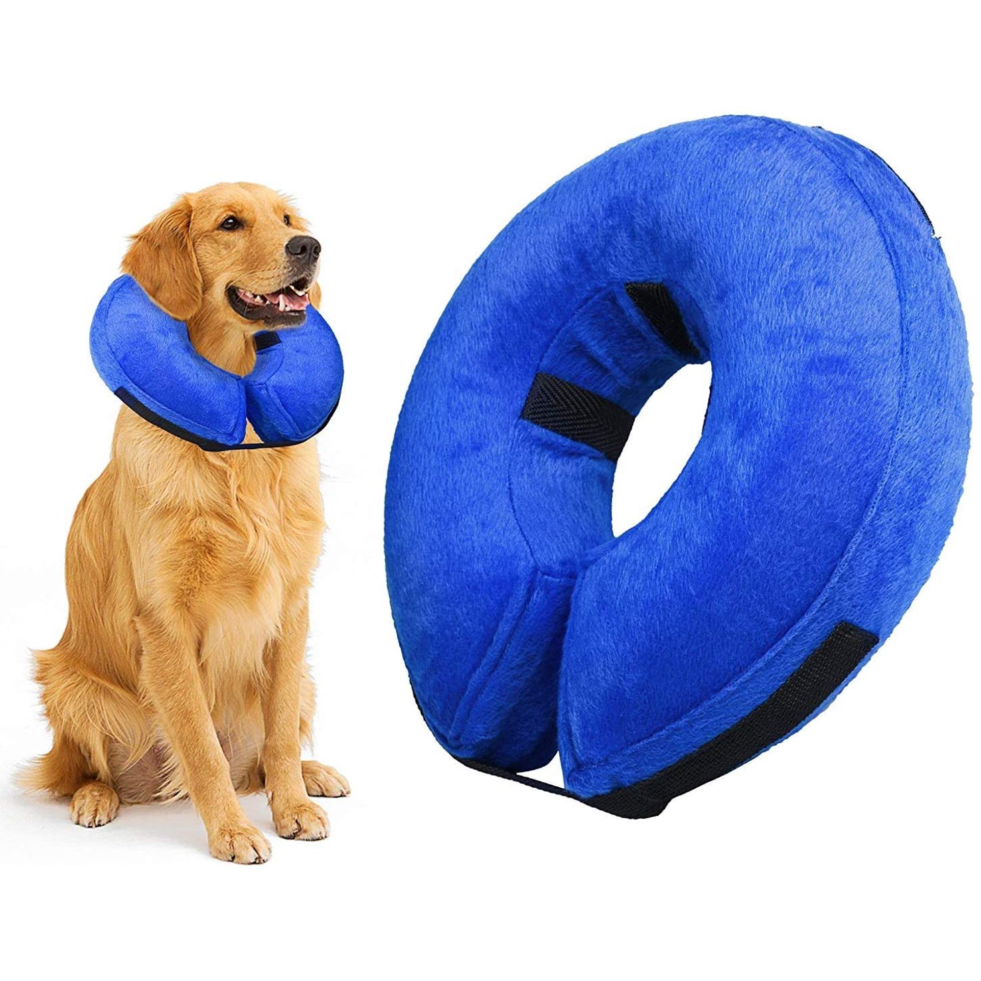 How Do I Keep My Dog From Scratching His Stitches