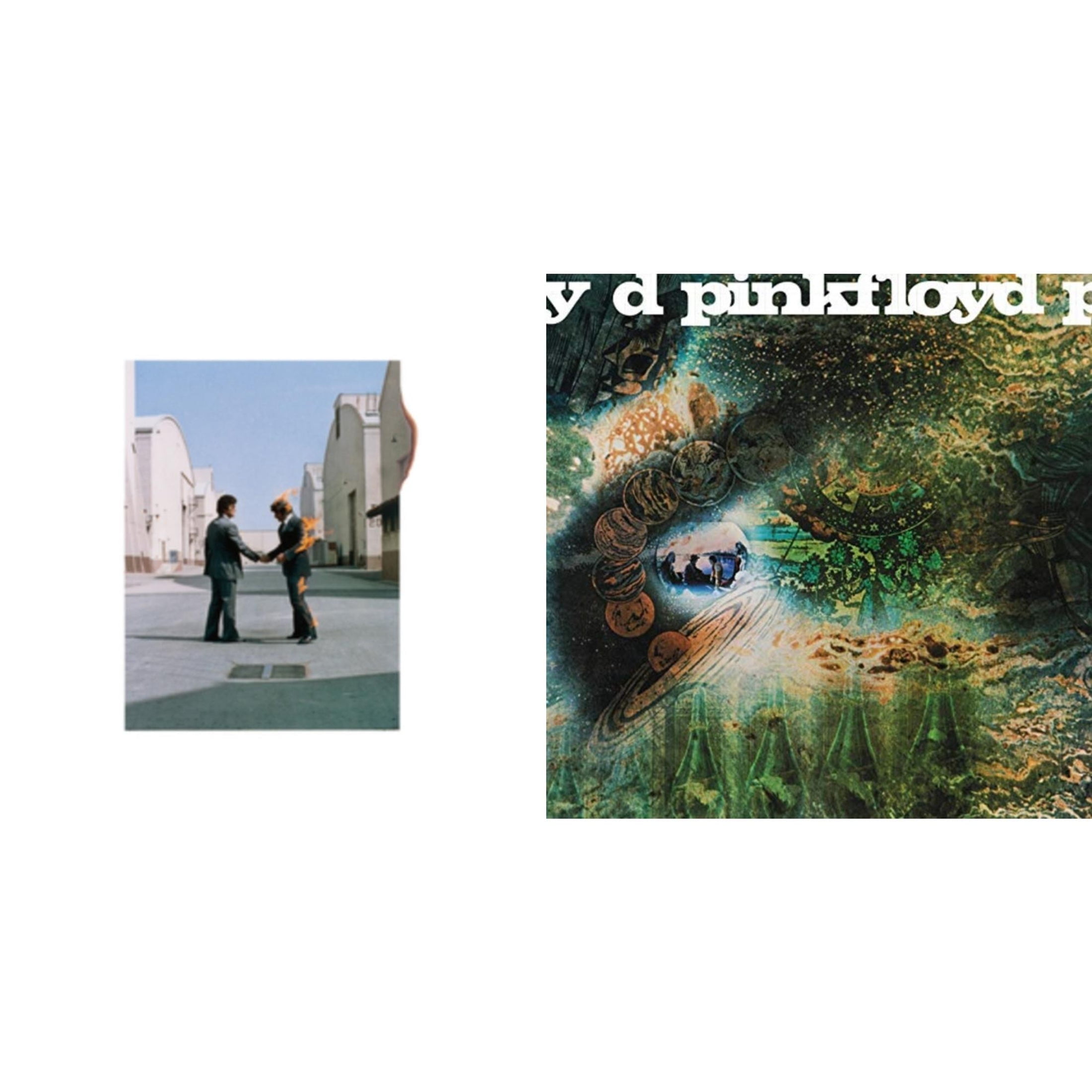欧2discs LP Pink Floyd A Foot In The Door (The Best Of Pink Floyd) (2LP) PFRLP21 Pink Floyd Records /00660 The Best of Pink Floyd: A Foot in the Door 180g Vinyl 2 LP