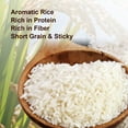 Shastha Foods Gobindo Bhog Rice, 10 lbs (4.54 kgs) (pack of 1), Gluten ...