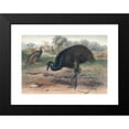 thumbnail image 2 of Joseph Wolf 18x14 Black Modern Framed Museum Art Print Titled - The Mooruk (1861-1867), 2 of 5