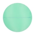 thumbnail image 5 of JWH 3D Decorative Soft Round Gauze Rose Flower Throw Pillows for Sofa Bedding 12 inch Mint Green, 5 of 8