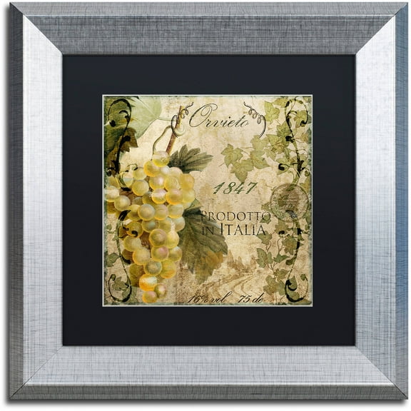 Trademark Fine Art "Vino Italiano IV" Canvas Art by Color Bakery Black Matte, Silver Frame