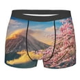 thumbnail image 4 of Goofa Cherry Blossoms Printed Men's Boxer Briefs Underwear, Moisture-Wicking Underwear, Trunk,Soft and Breathable Cotton Underwear-Large, 4 of 9
