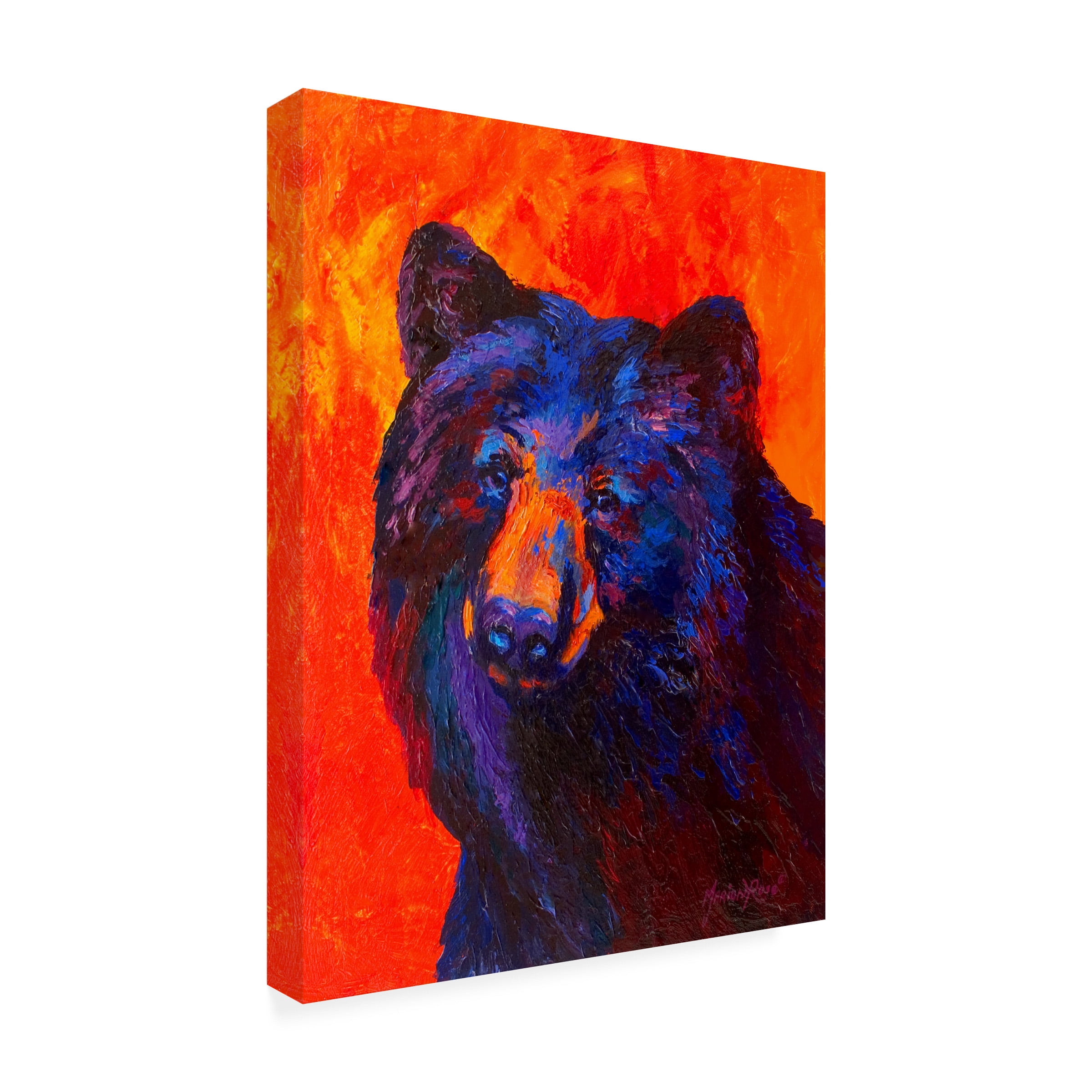 Marion Rose 'Thoughtful Black Bear' Canvas Art