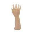 thumbnail image 3 of kusrkot Hand Model Comfortable Manicure Practice for Home Shops Professionals C Right Hand, 3 of 9
