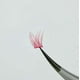 thumbnail image 2 of Zhuge Pestañas de visón de colores, racimos de pestañas de colores esponjosos, pestañas postizas de zorro de gato largas y gruesas espectaculares, 2 cajas (rosa MXH063-04), 2 of 3