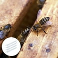 thumbnail image 1 of BESTYASH 4Ud Herramienta Para Apicultura Alimentador De Abejas De Con Extendida, 1 of 8