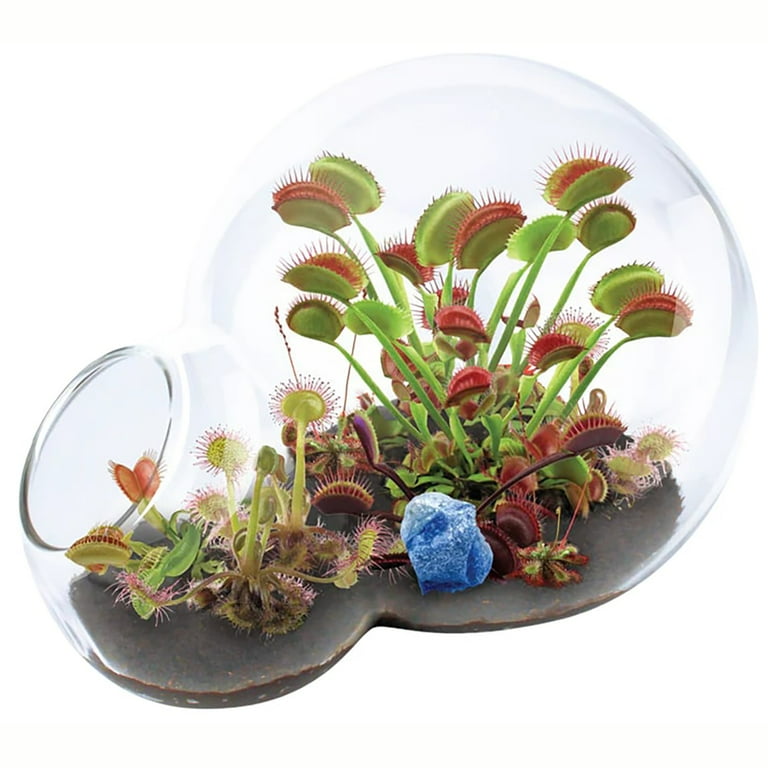 Unique Gardener Carnivorous Growarium Double-Sphere Terrarium Kit