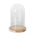 thumbnail image 2 of Glass Cloche, Plant Terrarium Dome, Flower Vase Display Case with , Table Centerpiece Dome , L, 2 of 9
