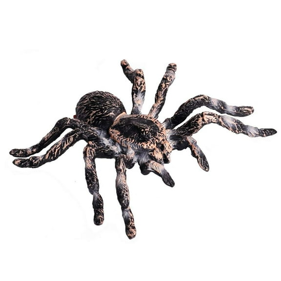 Ksopiavobs Realistic Animal Figures - Spider Action Model Lifelike Insect Toy Figures - Educational Learning Toys Birthday Set for Boys Girls Kids Toddlers (Giant Whiteknee)