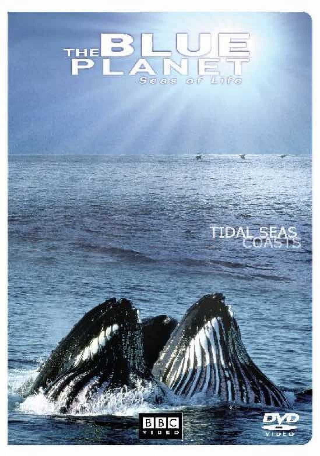Blue Planet:Seas of Life: Special Edition [DVD] - Walmart.com