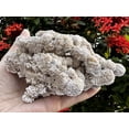 thumbnail image 4 of Large Desert Rose Cluster, Natural Desert Rose Selenite Stones, Desert Gypsum Rose, Raw Selenite Rose Crystal, Rose Rock, Sand Rose (1-2 lbs), 4 of 5