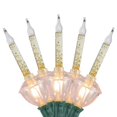 thumbnail image 1 of Luces navideñas para exteriores, transparentes con color dorado, 2,1 m, 1 of 2