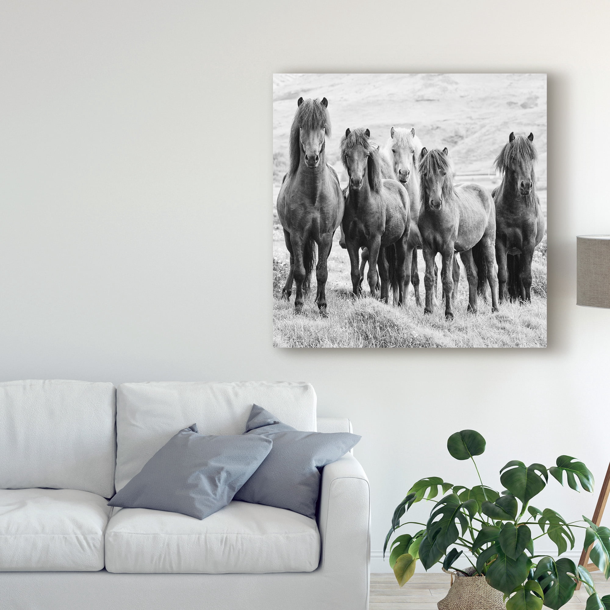 Phburchett 'Black And White Horses Viii' Canvas Art