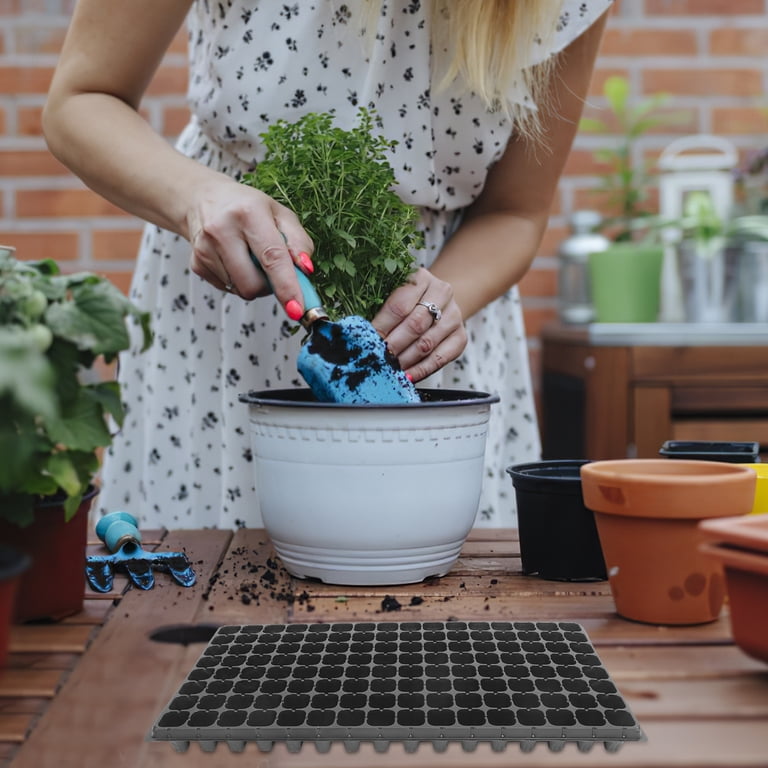 Raindrops 10 Pcs Bonsai Pot Hydroponic System Plant Propagation -  Walmart.com