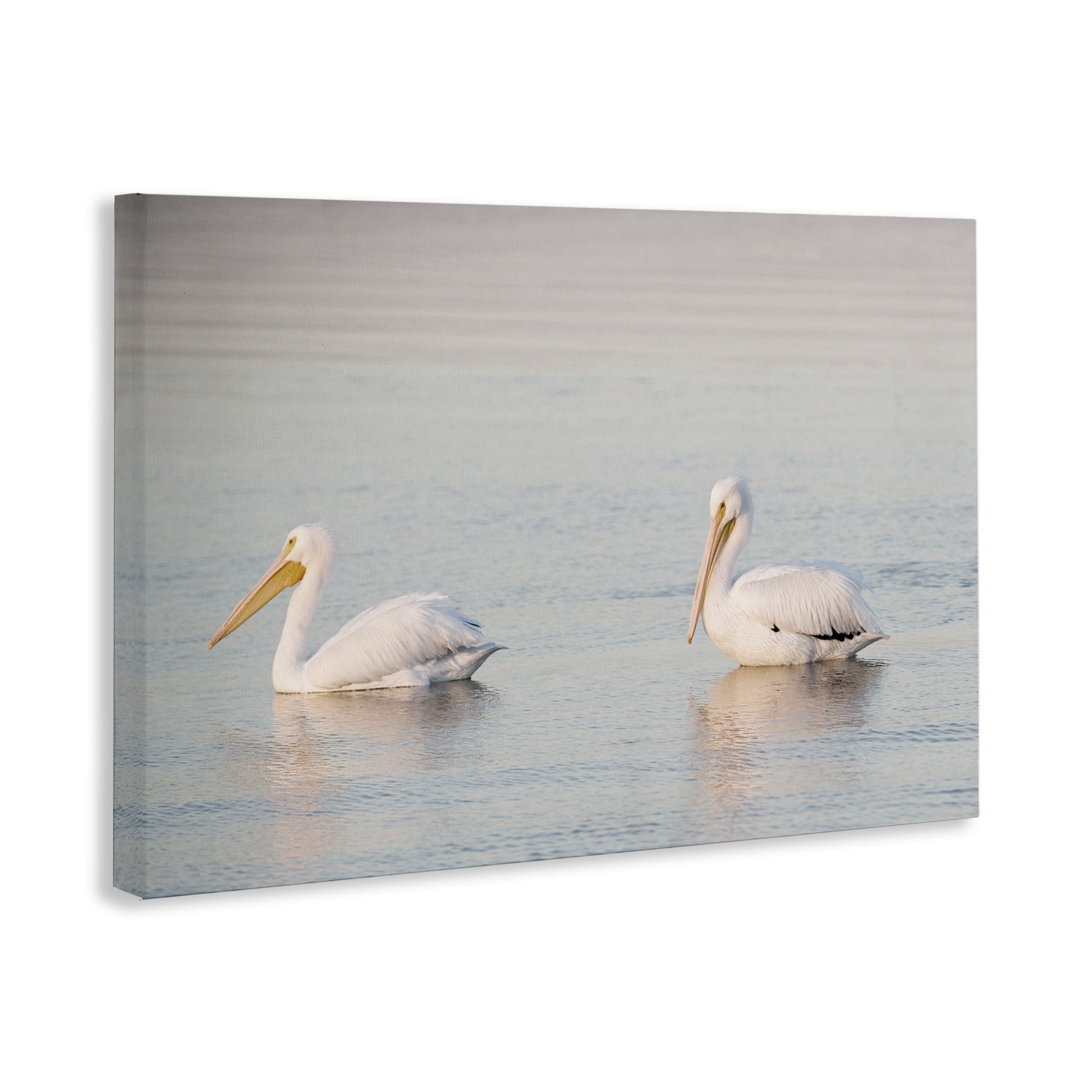 Stupell Industries Pelicans on Calm Waters Animals Photography Wrapped Canvas Art Print Wall Art, 24 x 16