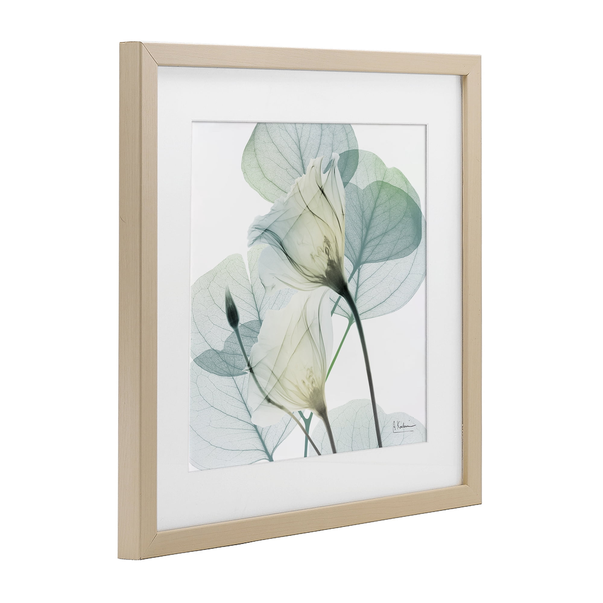 Stupell Industries Divine Fate Petals Birch Framed Print Under Glass, design by Albert Koetsier