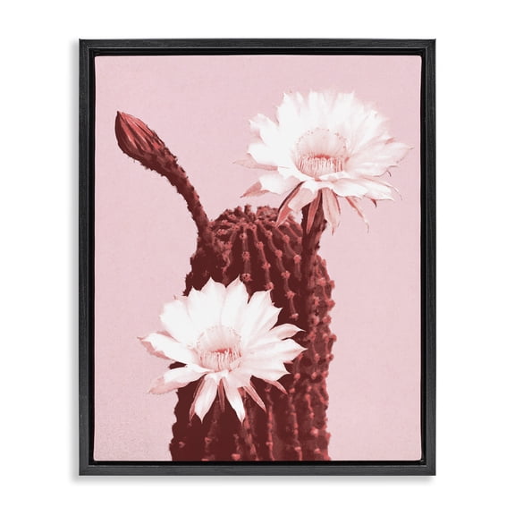 Stupell Industries Modern Pink Cactus Flowers Black Floating Frame Canvas Art, 17 x 21, by Lil' Rue