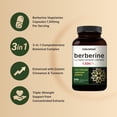 thumbnail image 3 of Complemente NatureBell Berberine con canela de Ceilán y cúrcuma, 3 of 8