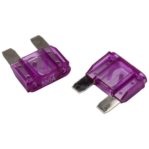 Rockford Fosgate RFFM100 100 Amp Maxi Fuse (2 Pack)