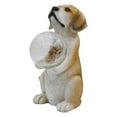 thumbnail image 4 of Estatua de perro solar para jardín con bola de observación, regalo único, escultura de resina divertida, figura de perro para balcón y patio al, 4 of 8