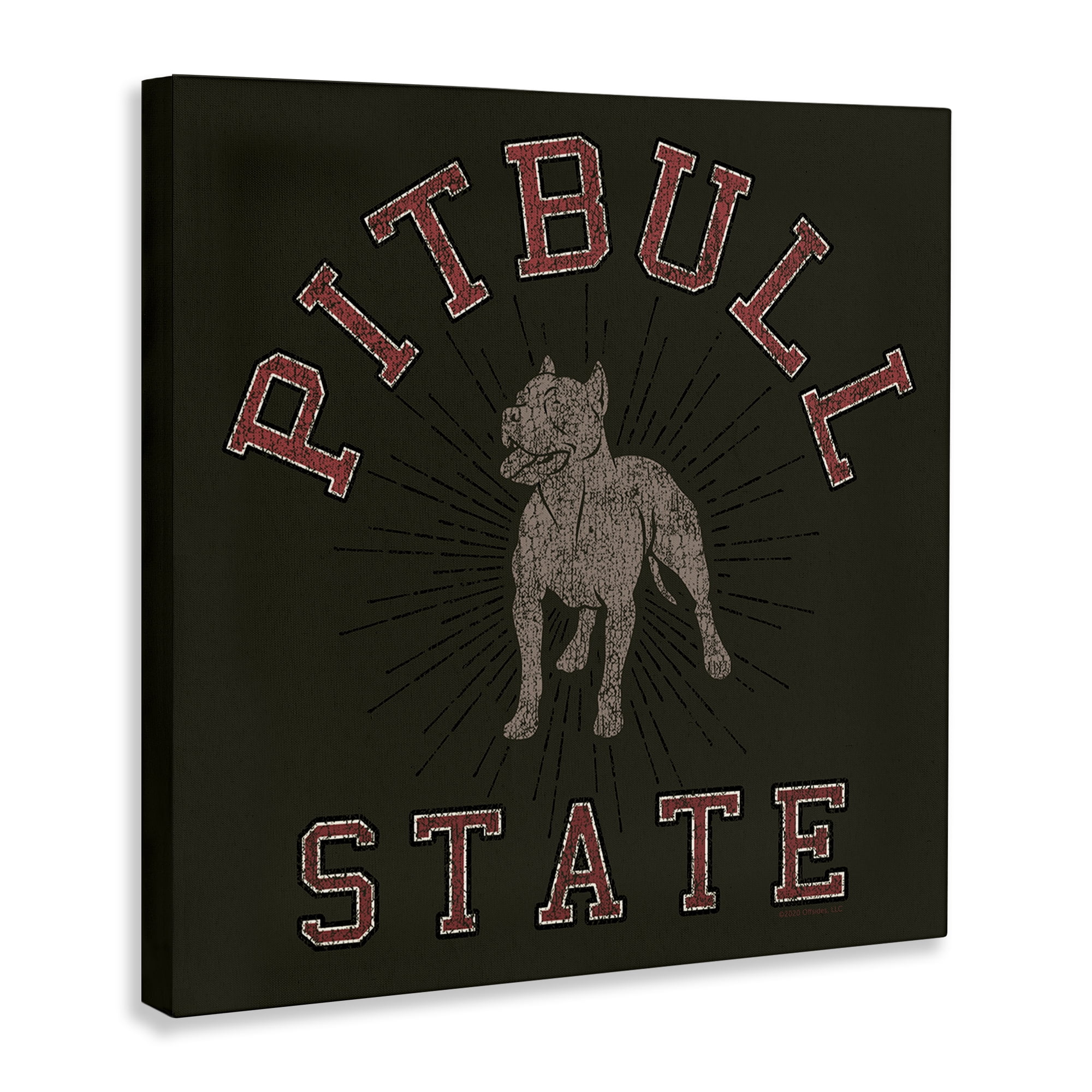 Stupell Industries Vintage Pitbull State Novelty & Humor Painting Wrapped Canvas Art Print Wall Art, 30 x 30