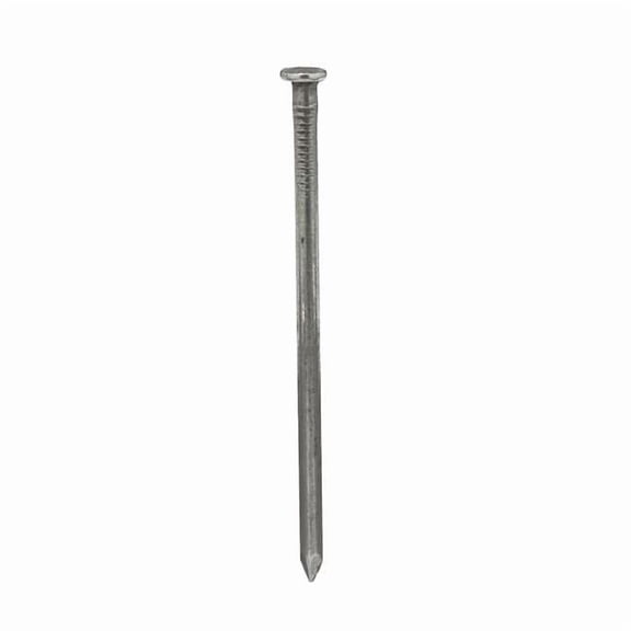 Common Nail, 3-1/2 in L, 16D, Steel, Bright Finish, 8 ga, 1320 PK 4NEP9