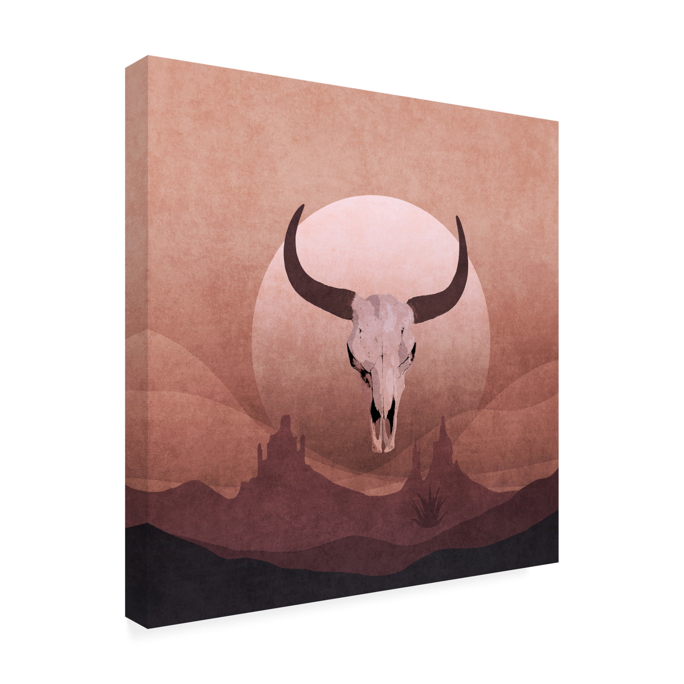 Trademark Fine Art Emel Tunaboylu  Cowboy Skull Canvas Wall Art