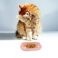 thumbnail image 3 of 4 Pcs Cat Food Tray Feeding Bowl Pet Bowls Puppy Feeder, 3 of 6