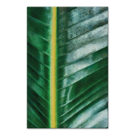 palm leaf close up 20x30 canvas wall art walmart com