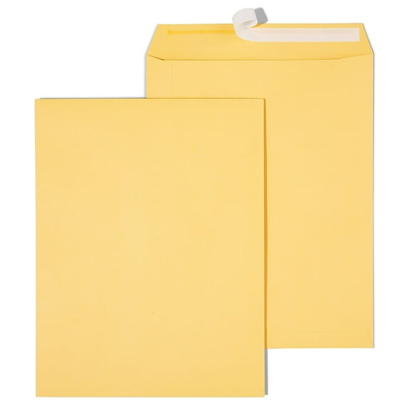 HITOUCH BUSINESS SERVICES EasyClose Catalog Envelopes 10"L x 13"H Brown 250/Box 479889/14238