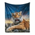 thumbnail image 1 of Tiger Soft Flannel Fleece Throw Blanket, Calm Siberian Large Cat with Sunset Resting on a Boulder Relaxed Beast, Cozy Plush for Indoor and Outdoor Use, 50" x 70", Multicolor, by Ambesonne, 1 of 6
