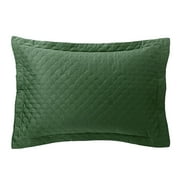Nikki Chu Queen Dark Ivy Quilted Sham
