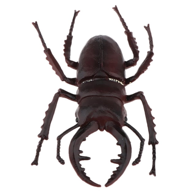 Modelo de arena alta Sunnimix Juguetes de figurillas de insectos