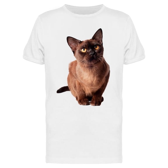 Beauty Burmese Cat Portrait Tee Men's -Image by Shutterstock Men's T-shirt