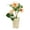 Champagne, variant on 1 Set Mini Phalaenopsis Orchid Plant with Vase - Real Touch Artificial Orchid Flowers for Table Centerpieces, Vivid White Orchid Indoor Room Decor
