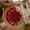 Color 1, variant on Red Rose Round Velvet Rug Elegant Floral Pattern Soft Plush Area Carpet Bedroom Living Room Home Decor SPXUBZ 31.5"×31.5"