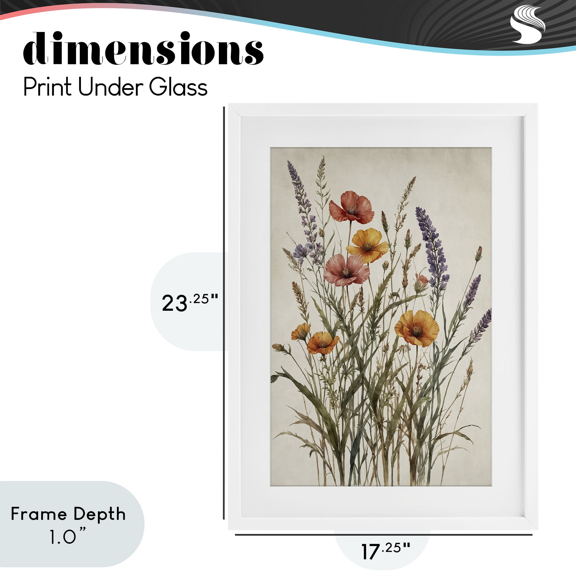 Stupell Industries Vintage Collection of Meadow Botanicals White Framed Print Under Glass, design by Nataly White