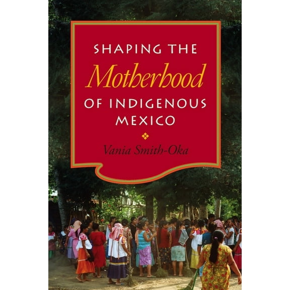Shaping the Motherhood of Indigenous Mexico, (Hardcover)