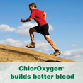 Herbs Etc. ChlorOxygen, Chlorophyll Concentrate Dietary Supplement, 120